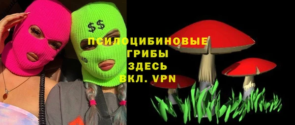 бошки Коряжма