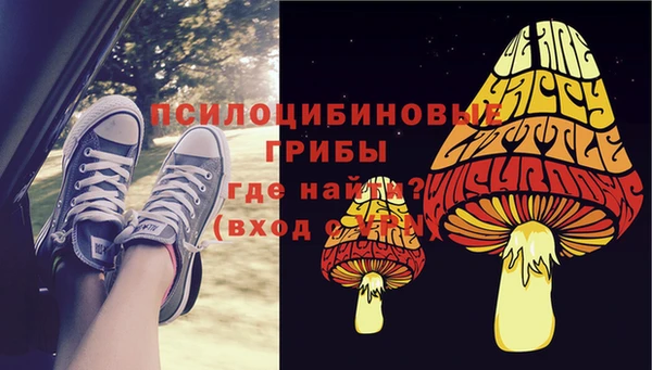 бошки Коряжма
